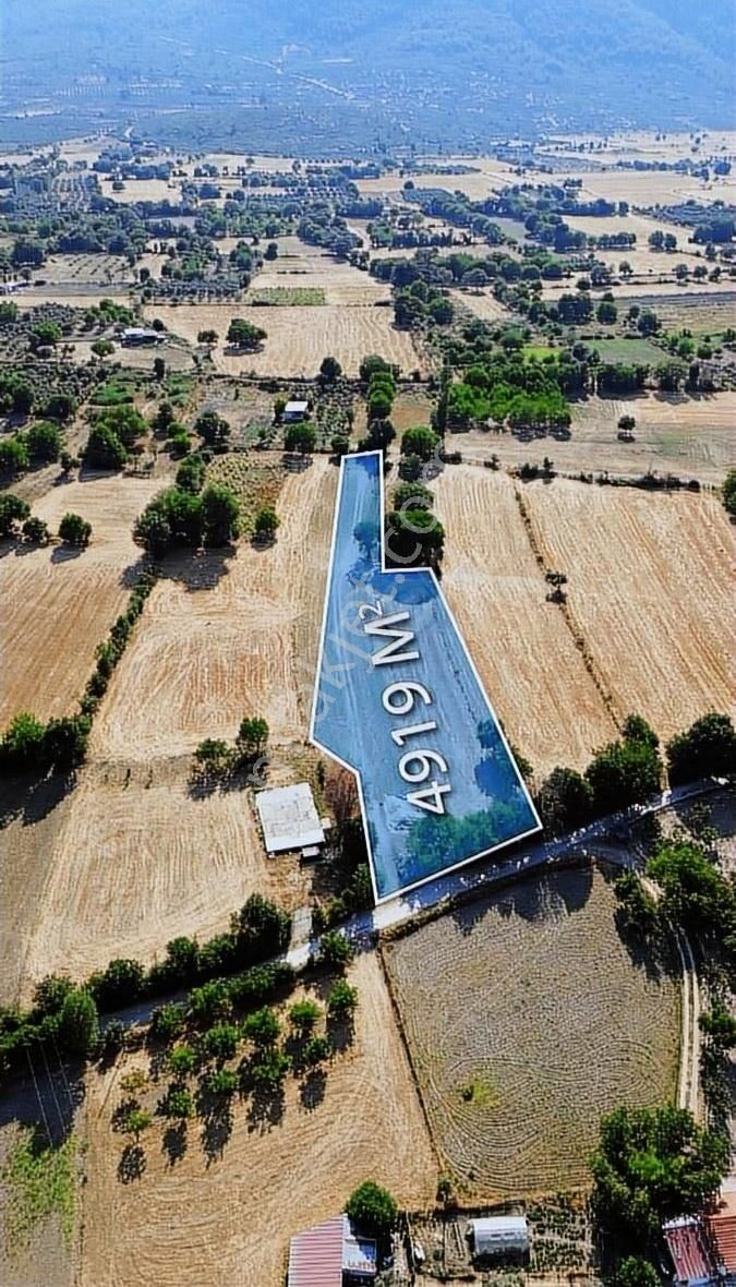 Muğla Menteşe Yeşilyurt Mahallesinde 4919 M2 Satılık Tarla - Görsel 5