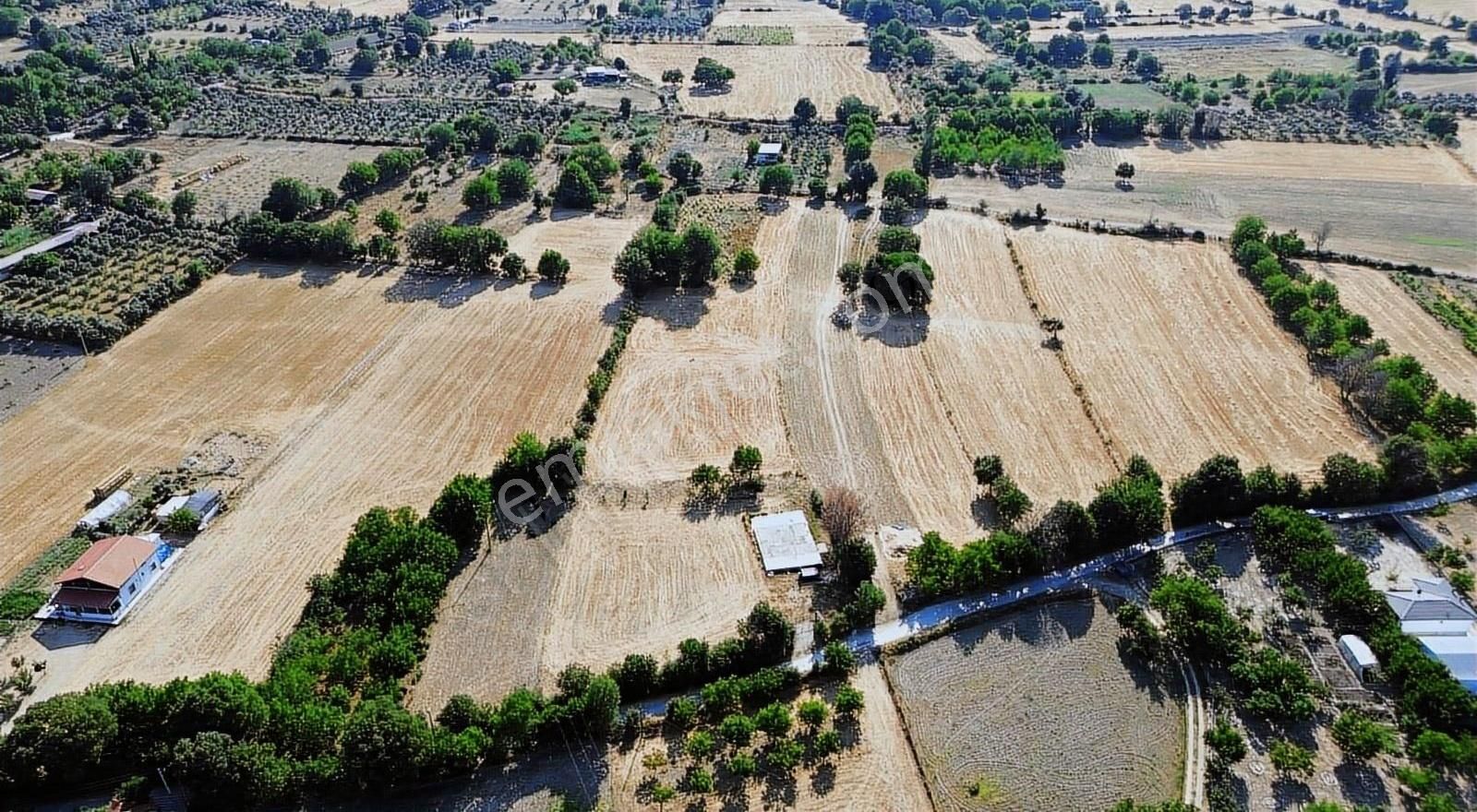 Muğla Menteşe Yeşilyurt Mahallesinde 4919 M2 Satılık Tarla - Görsel 8