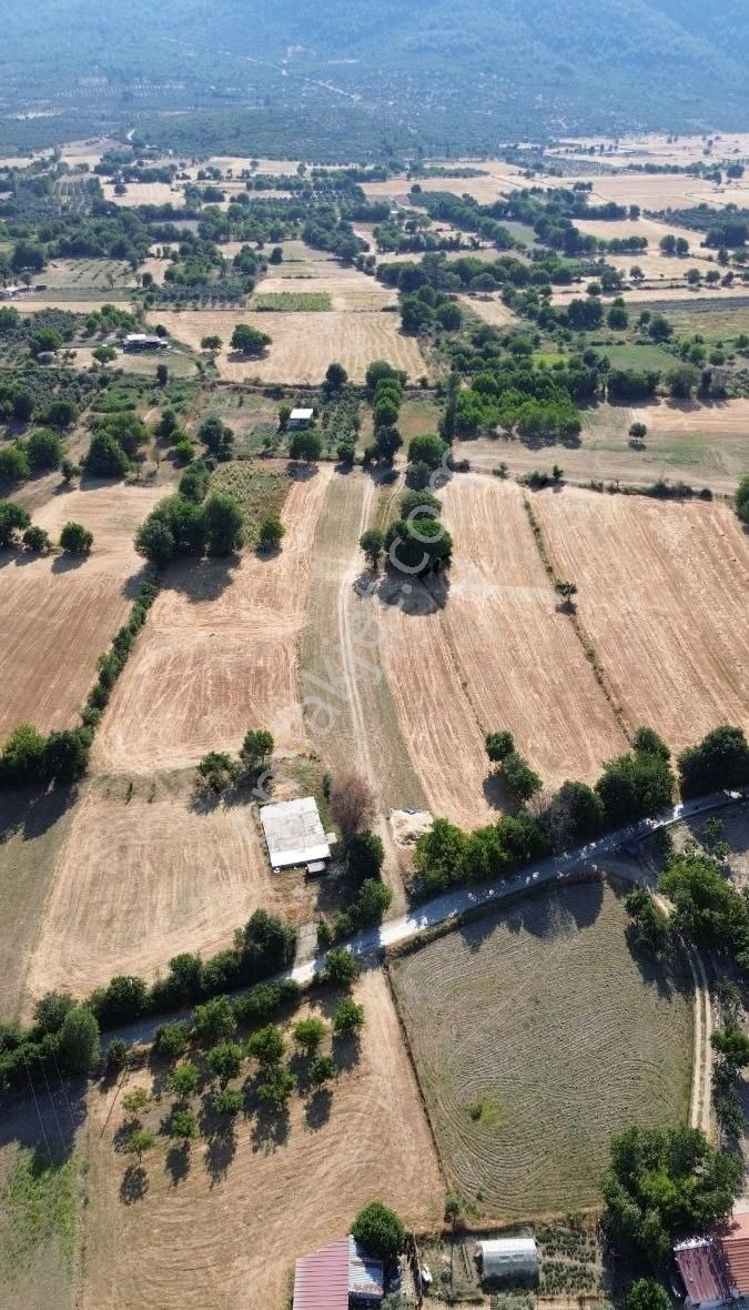 Muğla Menteşe Yeşilyurt Mahallesinde 4919 M2 Satılık Tarla - Görsel 2