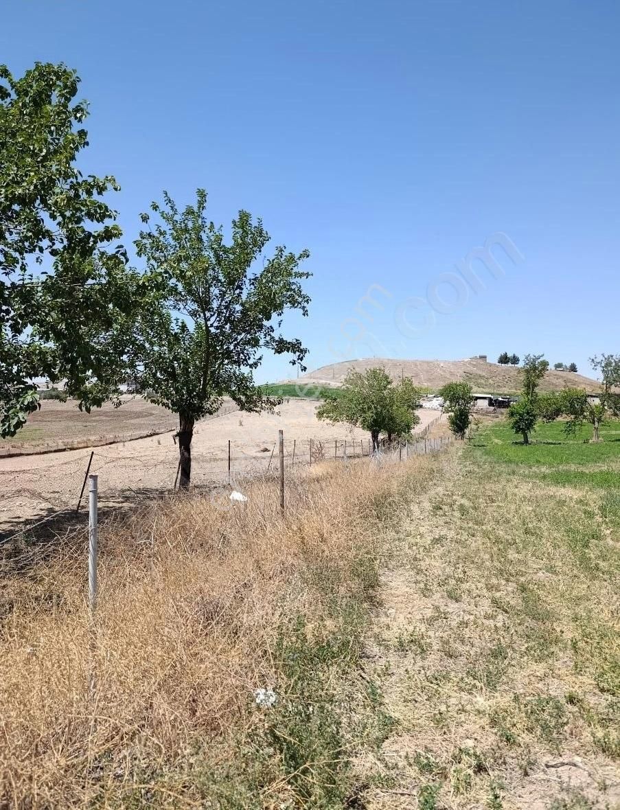 Aydaş Emlaktan Satılık Tarla - Görsel 12