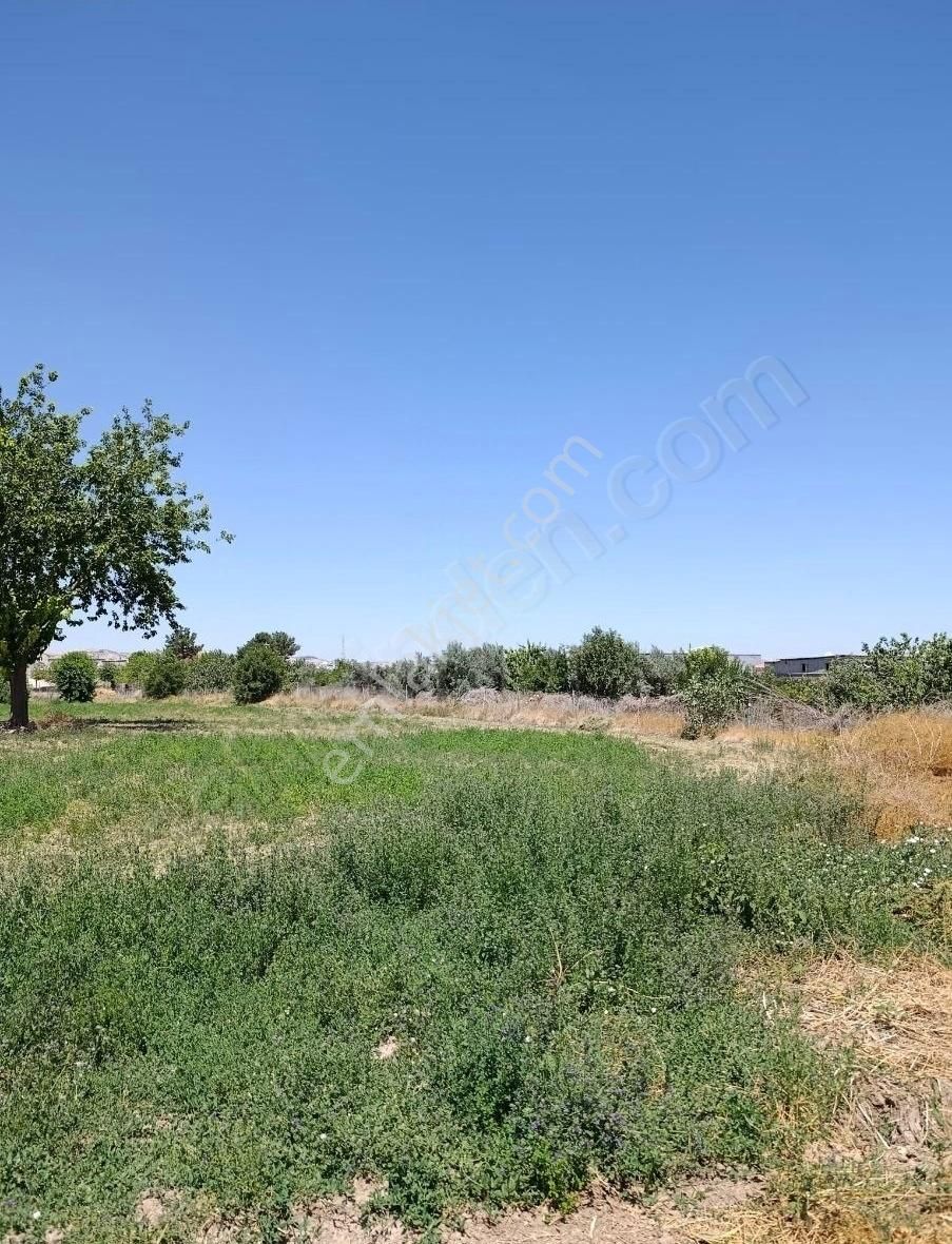 Aydaş Emlaktan Satılık Tarla - Görsel 23