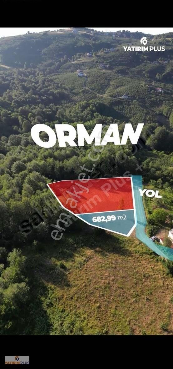 Yatırımplus'tan Deniz Gören Ormana Komşu Ev Yapılabilir Tarla - Görsel 2