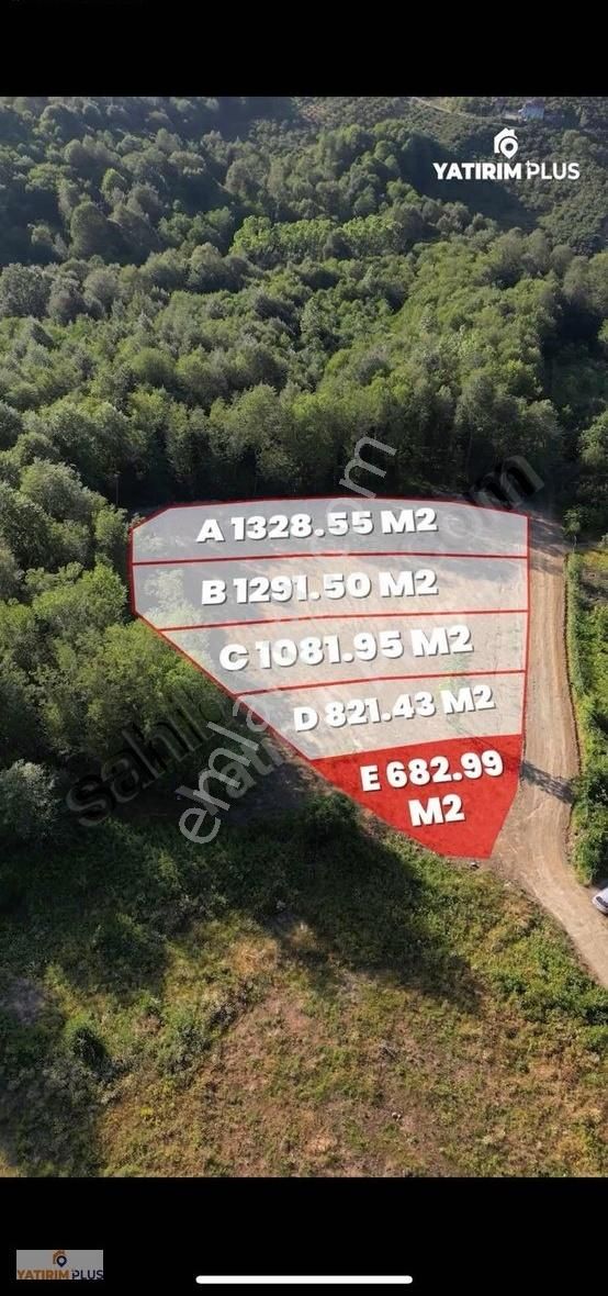 Yatırımplus'tan Deniz Gören Ormana Komşu Ev Yapılabilir Tarla - Görsel 3