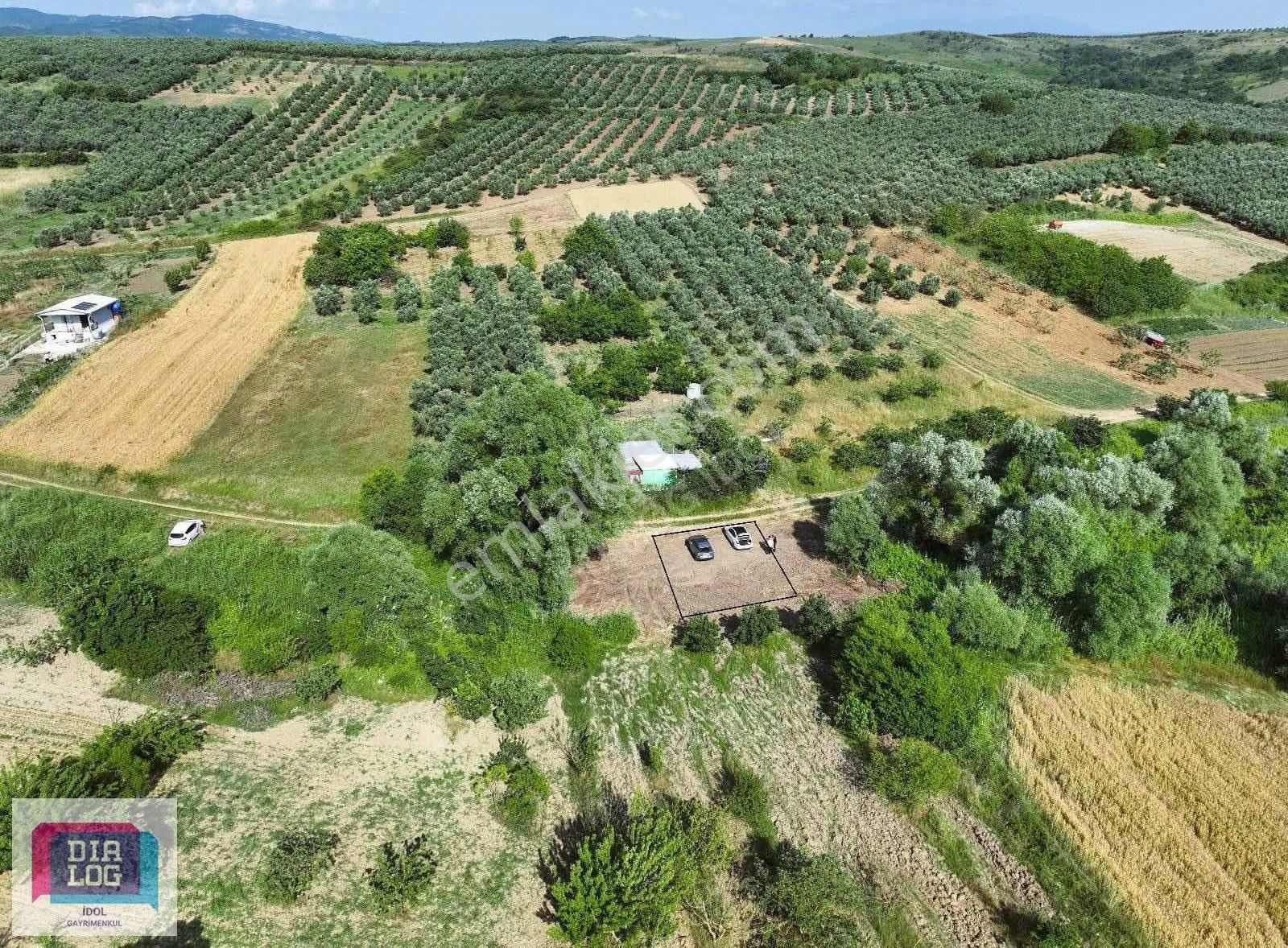 Mudayna Esence De 305 M2 Kadastro Yoluna Cephe Tarla
