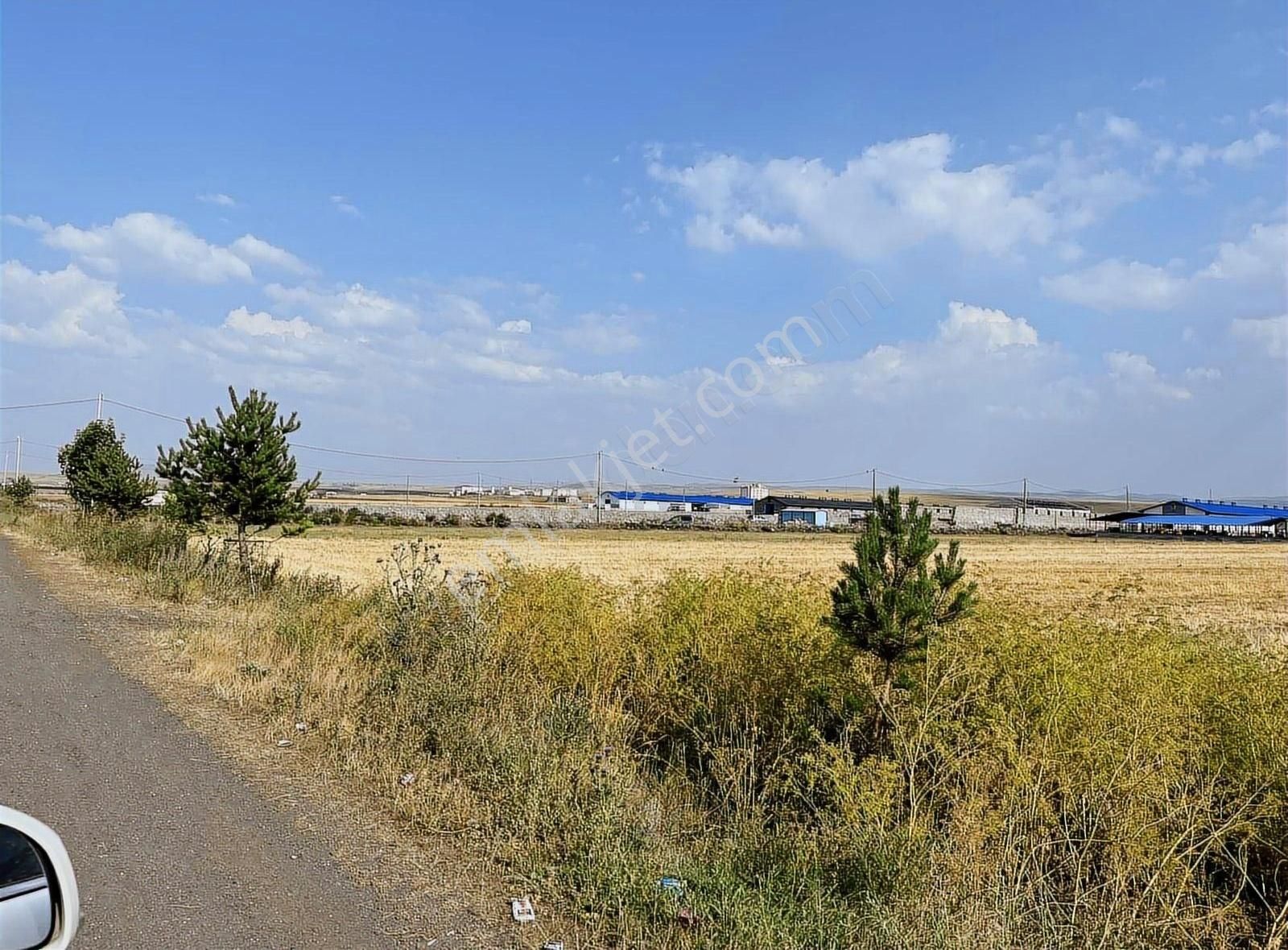 Kars Pusula Emlaktan Satılık 27 Dönüm Arsa
