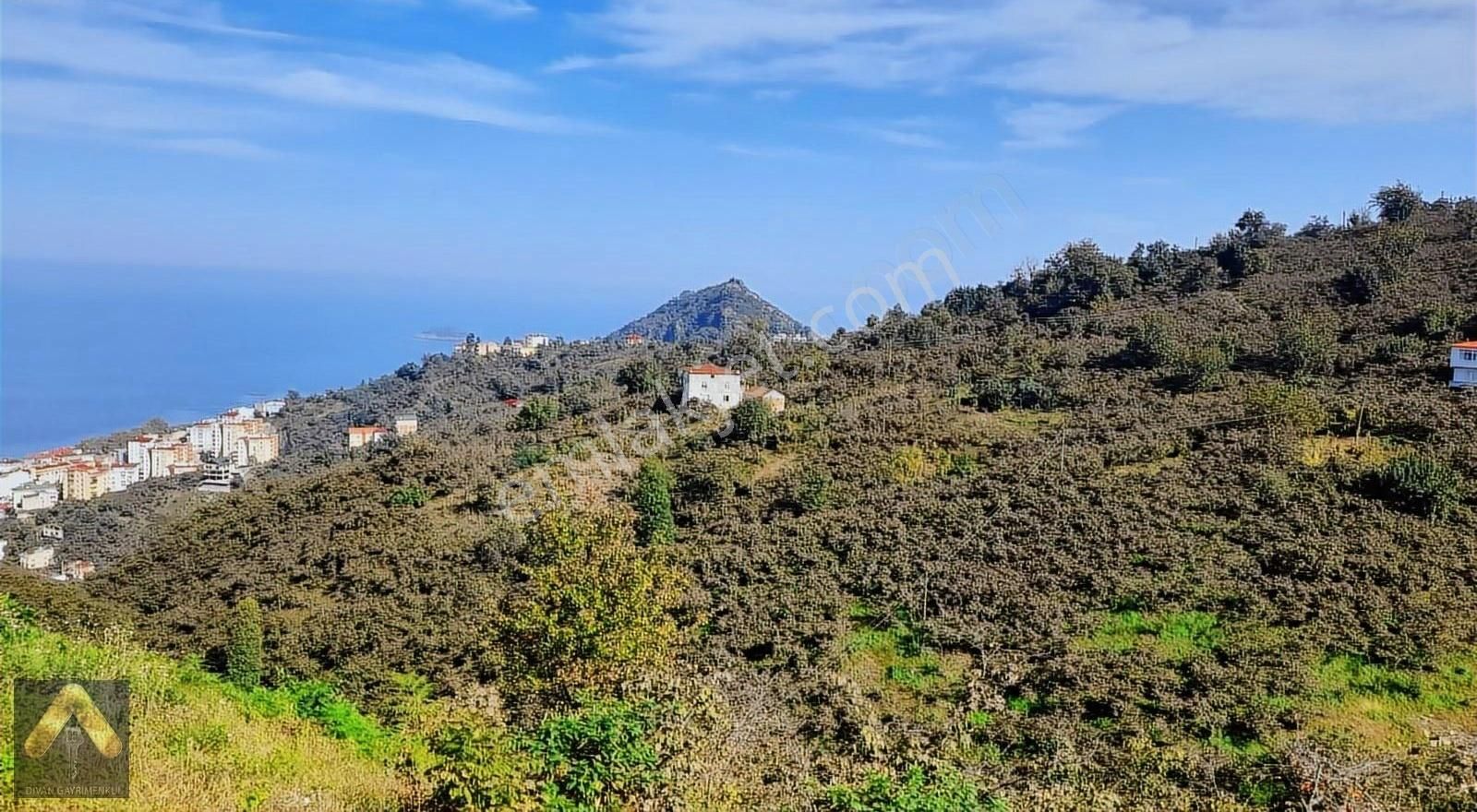 Divan Gayrimenkul Giresun Kavaklar 460m2 Deniz Manzaralı Arsa