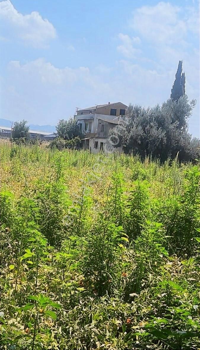 Yasaklar Grouptan Ticari İmarlı Arsa