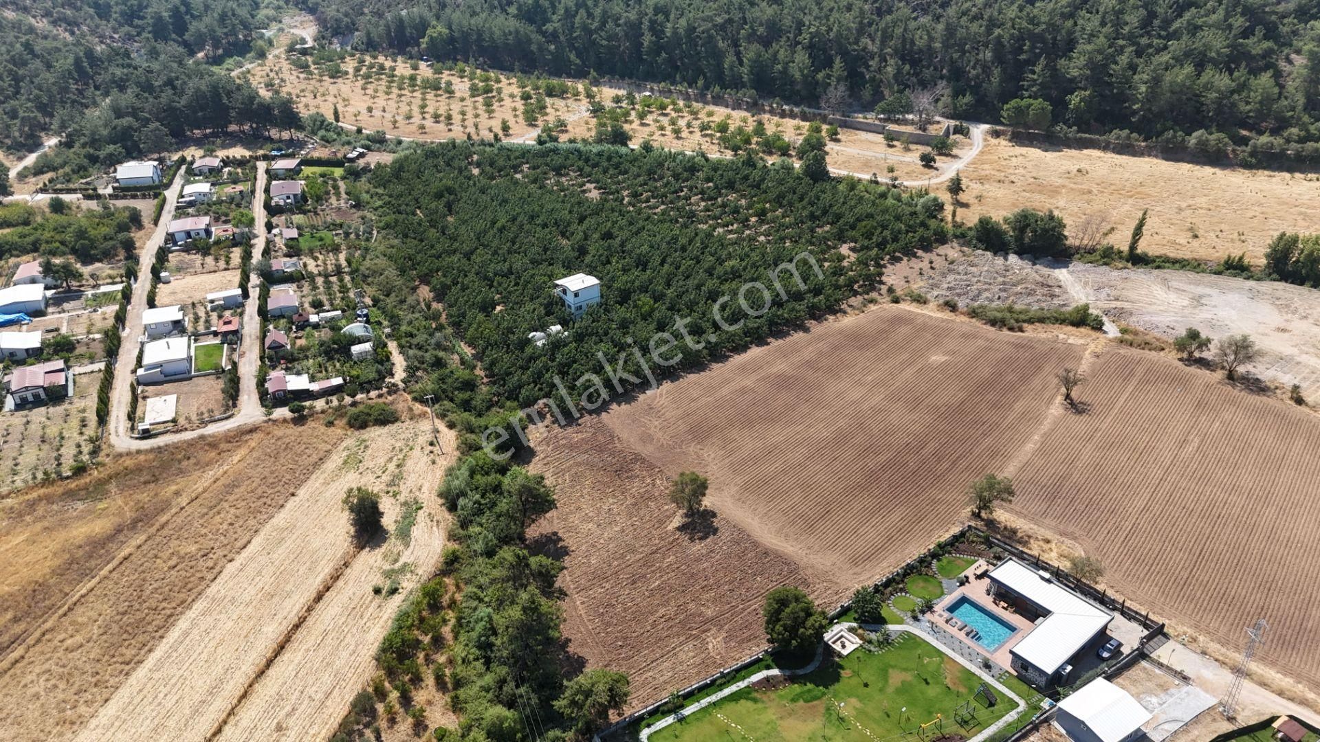 Menderes Çatalcada 3 Katlı Evi 22 Dönüm Ceviz Bahçesi Müstakil Tapu İzmir