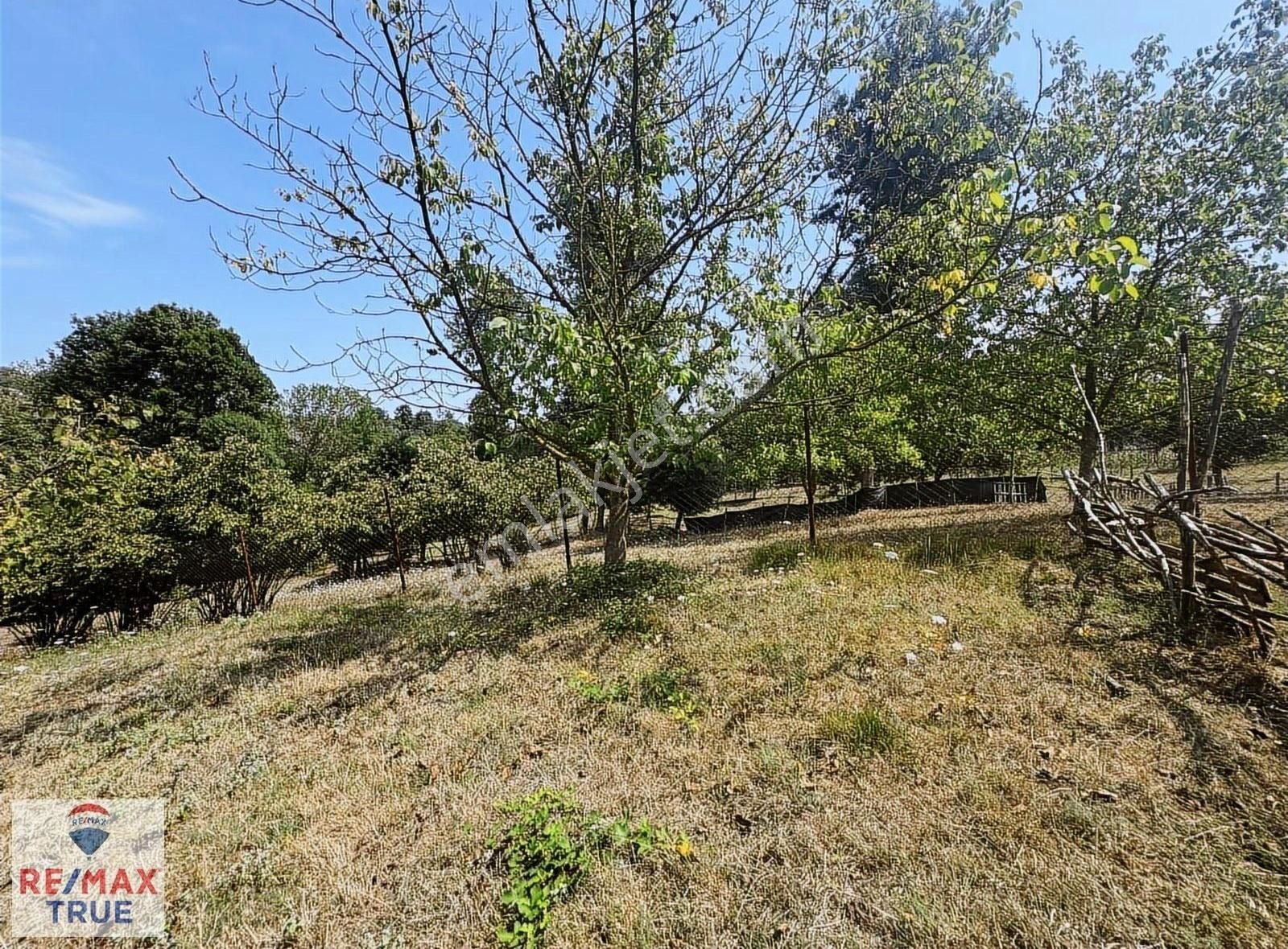 Kartepe Uzuntarla Villa İmarlı 2160 M2 Yola Cepheli Arsa