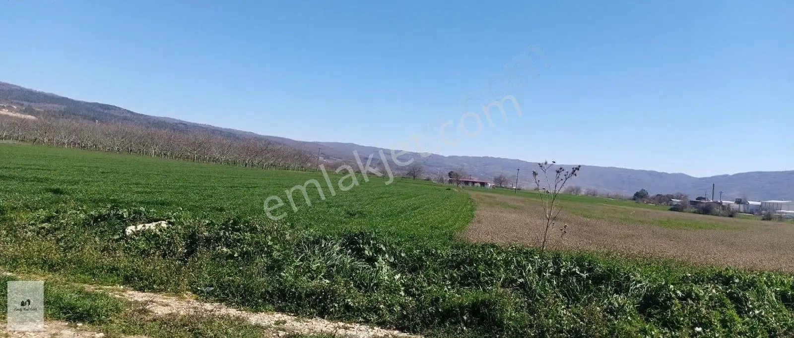 Bursa İnegöl Süpürtü Mahallesi'nde Satılık Arazi - Görsel 3