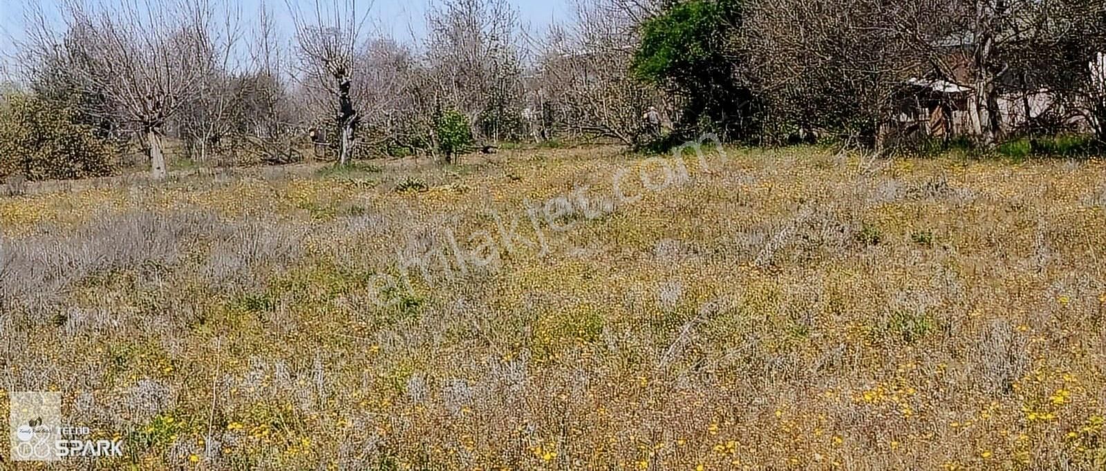 Bursa İnegöl Çitli Mevkinde Satılık Konumu Güzel Arazi