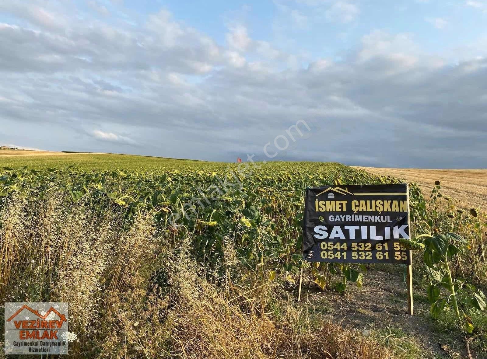 Çalköyde Anayola Cephe 10466 M2 Güzel Konumda Satılık Tarla