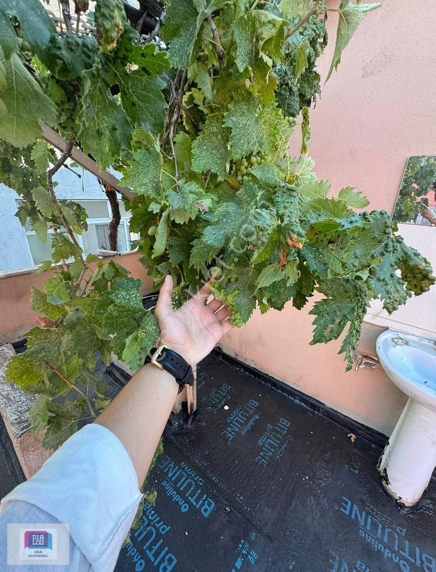 Fatih Mahallesinde Eşyalı Geniş Teraslı Keyifli Kiralık Daire