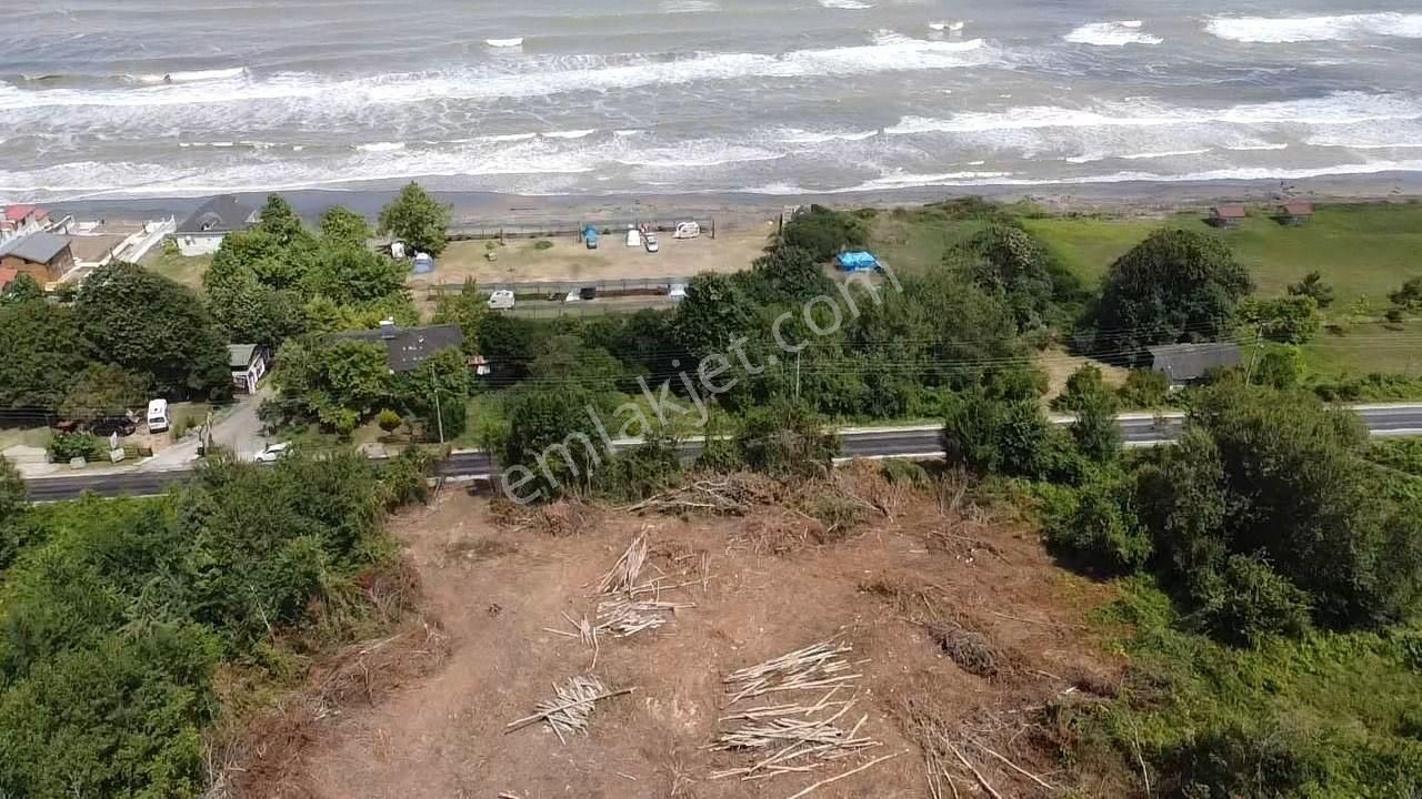Yola Cephe, Denize 50 Metre Mesafe - Toki Projesine Komşu Arazi - Görsel 9