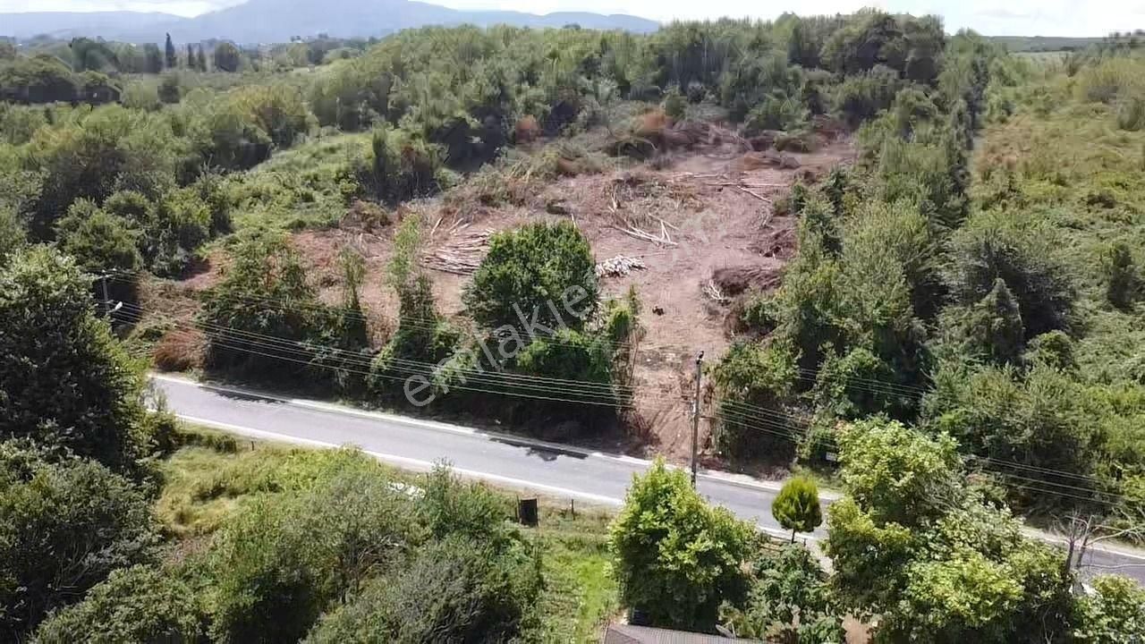 Yola Cephe, Denize 50 Metre Mesafe - Toki Projesine Komşu Arazi - Görsel 8