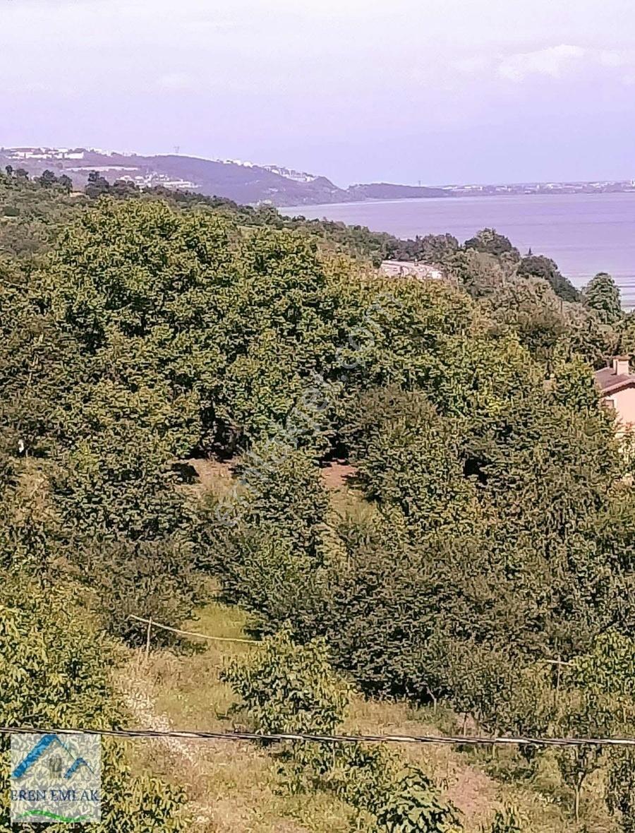 Kocaeli Eşme'de 3573 M2 Arsa İçinde Tripleks Villa Satılık - Görsel 5