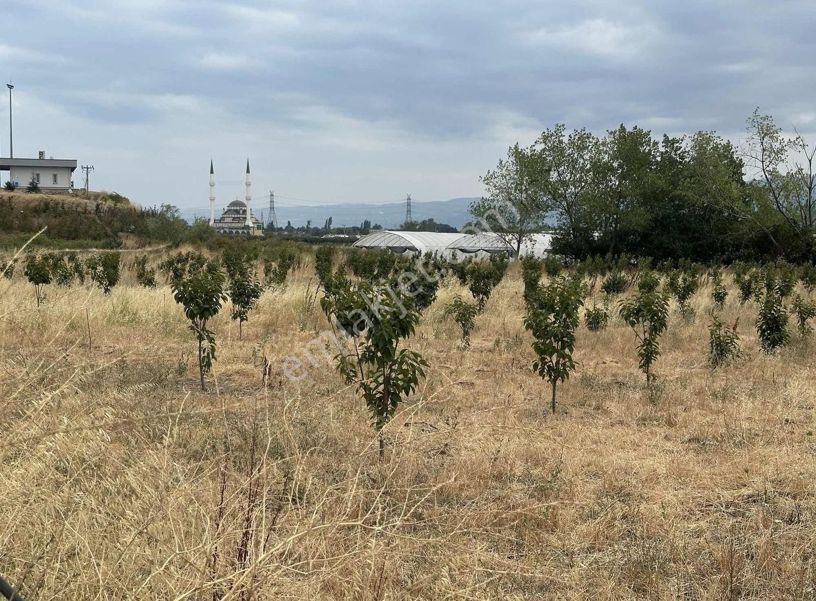 Bursa Emlak Alemi Muradiye Mahallesi Konumda Satılık - Görsel 3