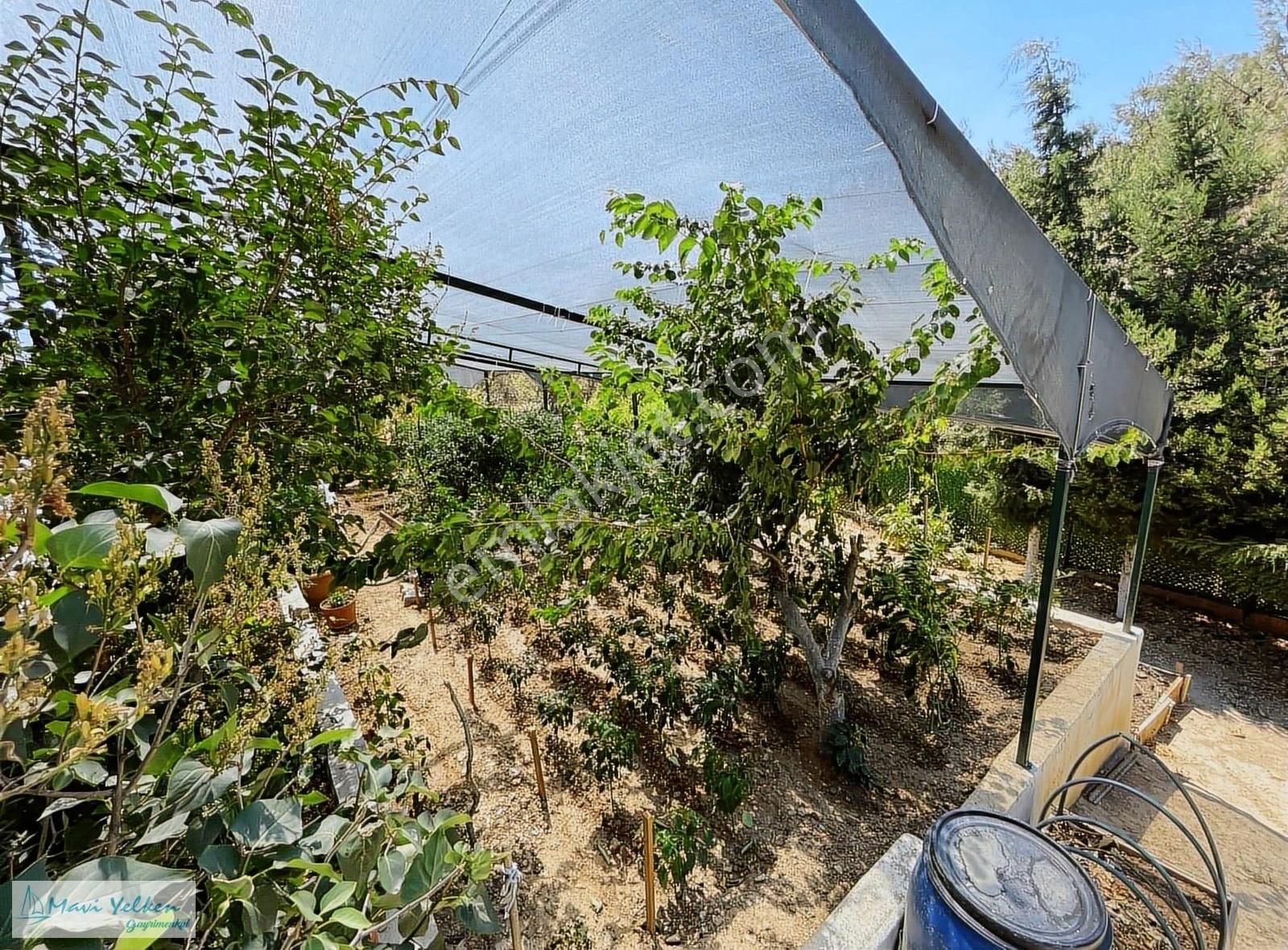 Kemalpaşa Damlacık'da 1199 M2 Müstakil Tapulu Yapı Kayıt Belgeli - Görsel 5