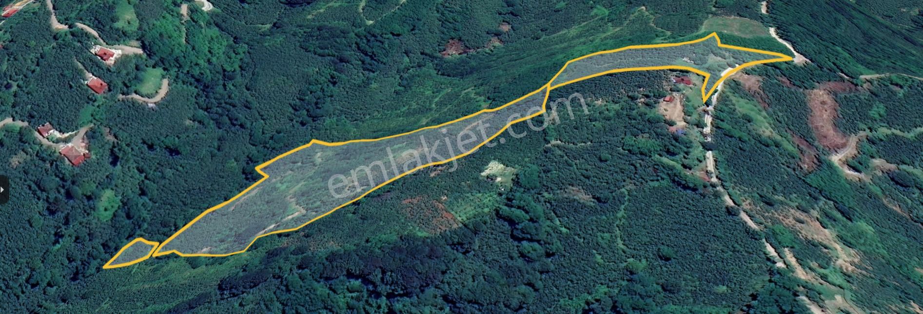Perşembe Boğazcıkta 41 Dönüm Ev Yapımına Uygun Arsa