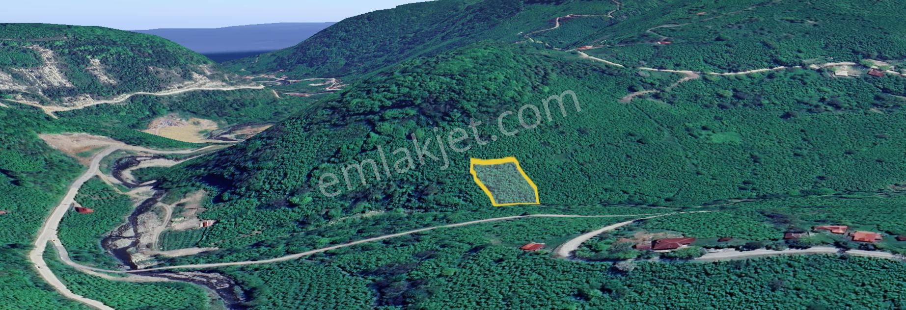 Perşembe Saray Mah. 1.876 M2 Fındık Bahçesi - Görsel 5