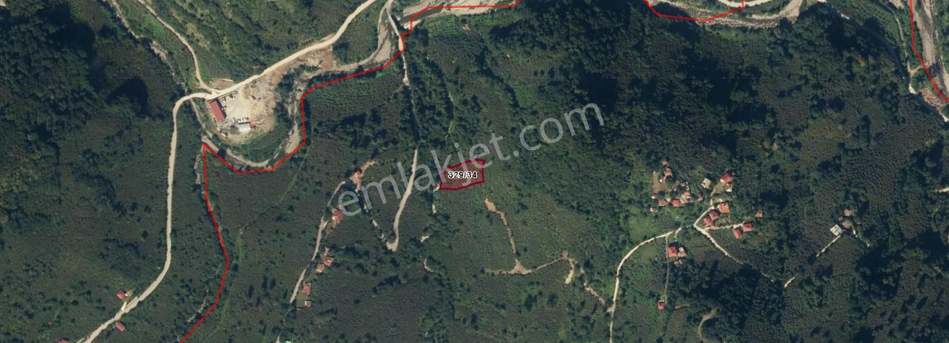 Perşembe Saray Mah. 1.876 M2 Fındık Bahçesi - Görsel 4