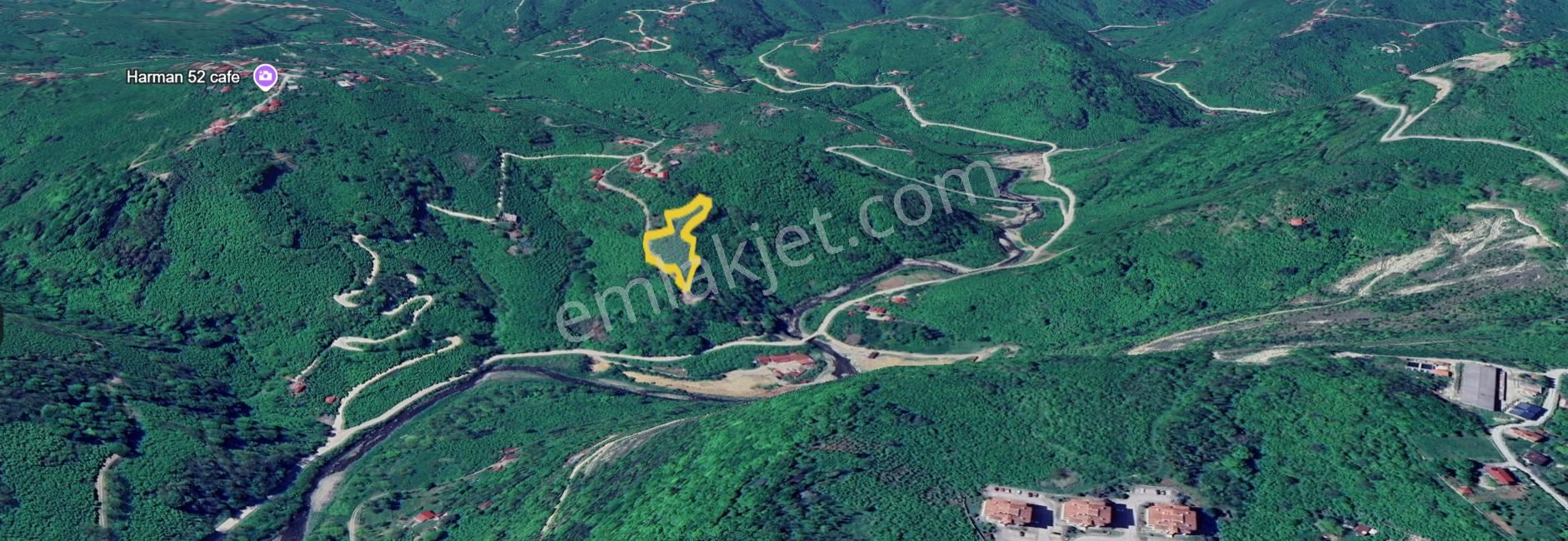 Perşembe Saray Mah 4.232 M2 Ev Yapımına Uygun Deniz Manz. Arsa