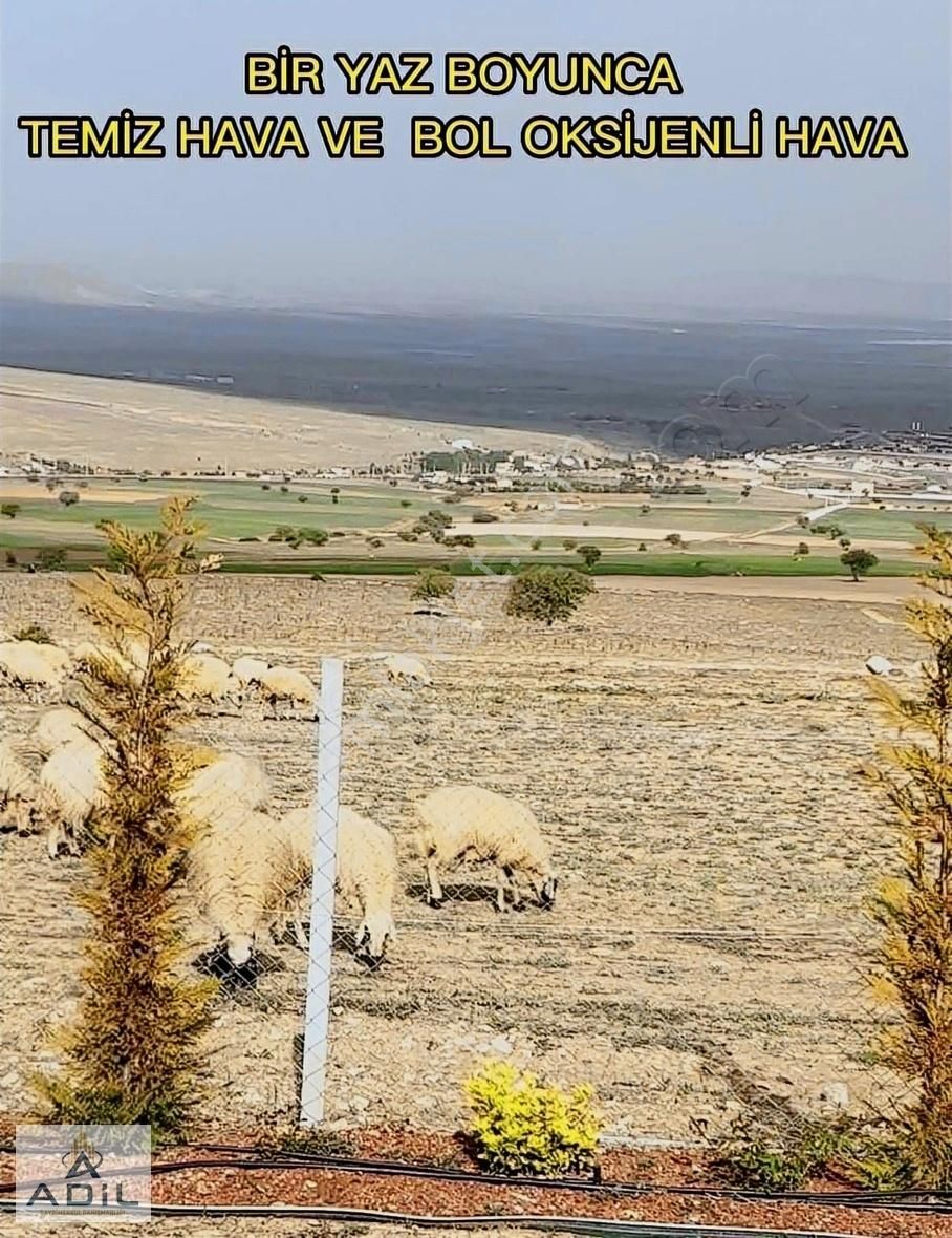 Sızma'da. Mustakil Tapulu Hobi Bahçesi - Görsel 8