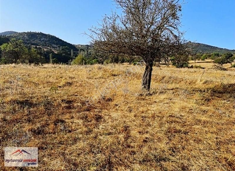 Balıkesir Sındırgı Düvertepe Mahallesinde Satılık Hobi Bahçesi