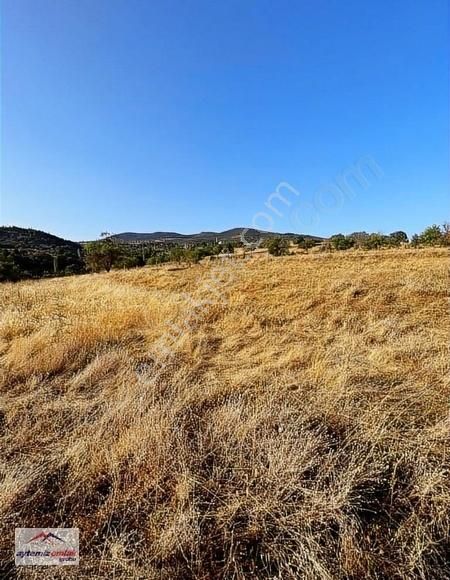 Balıkesir Sındırgı Düvertepe Mahallesinde Satılık Hobi Bahçesi - Görsel 2