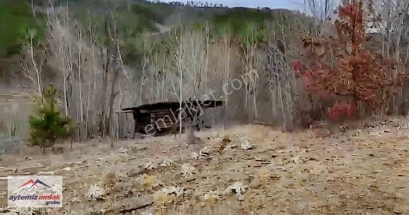 Balıkesir Bigadiçte 3085 M2 Hobi Bahçesi