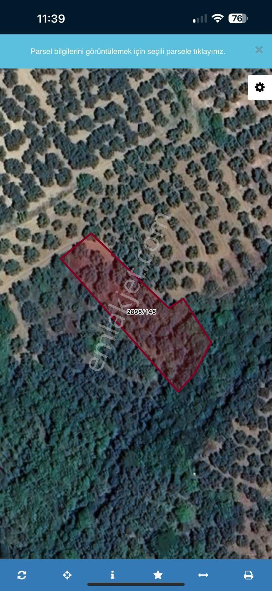 Bursa Mudanya Yalıçiftlik Fırsat Zeytinlik 1132m2