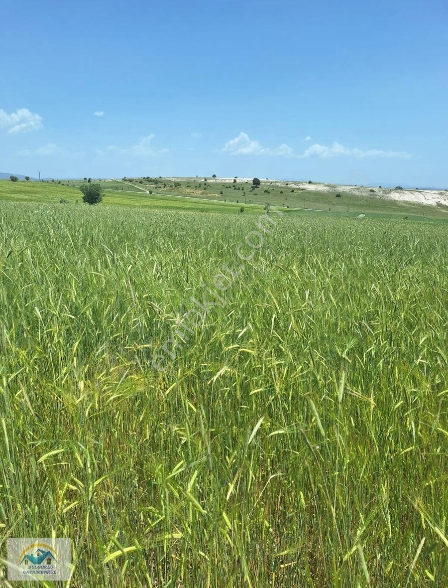 Konumu Mükemmel Köye Yakın Yolu Olan Yatırım Fırsatı - Görsel 2