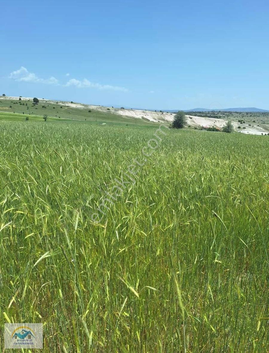Konumu Mükemmel Köye Yakın Yolu Olan Yatırım Fırsatı - Görsel 3