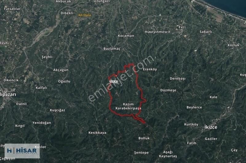 Terme Kazımkarabekir Paşa Köyü Satılık Fındık Tarlası