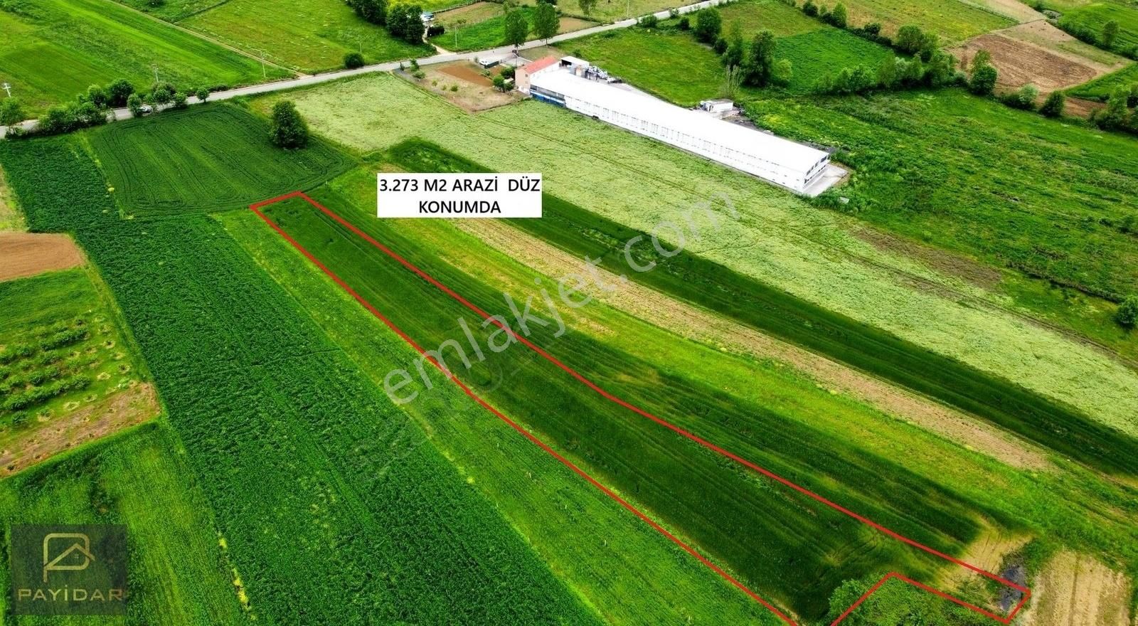 Asfalt Yola 60 Metre Mesafede , 3.273 M2 Düz Konumda Arazi!