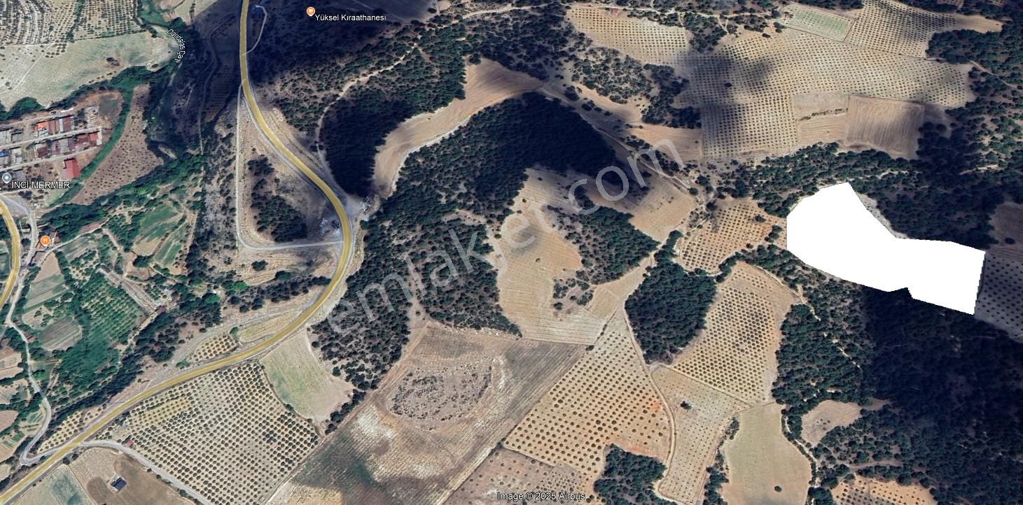 Aydın Karacasuda Bakımlı Verimli Zeytinlik 29.425 M2 - Görsel 13