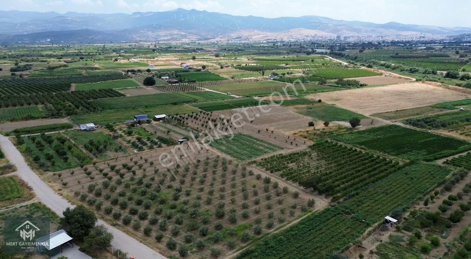 Menemen Doğaköyde Satılık 1778 M2 Tek Tapu Kayısı Bahçesi - Görsel 2