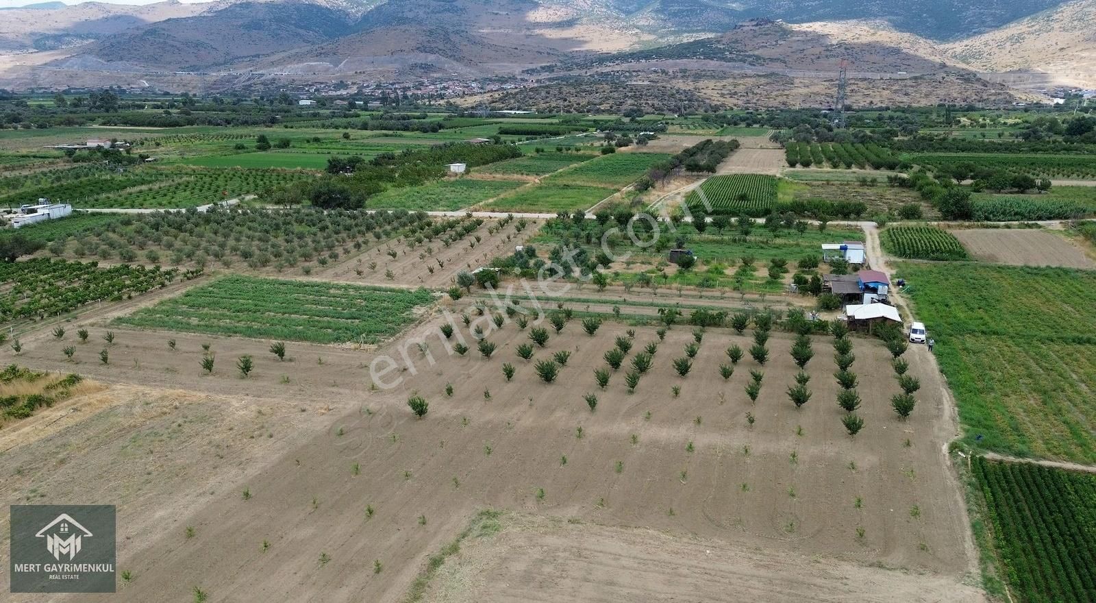Menemen Doğaköyde Satılık 1778 M2 Tek Tapu Kayısı Bahçesi - Görsel 12