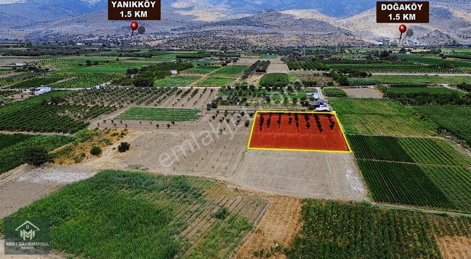 Menemen Doğaköyde Satılık 1778 M2 Tek Tapu Kayısı Bahçesi - Görsel 3