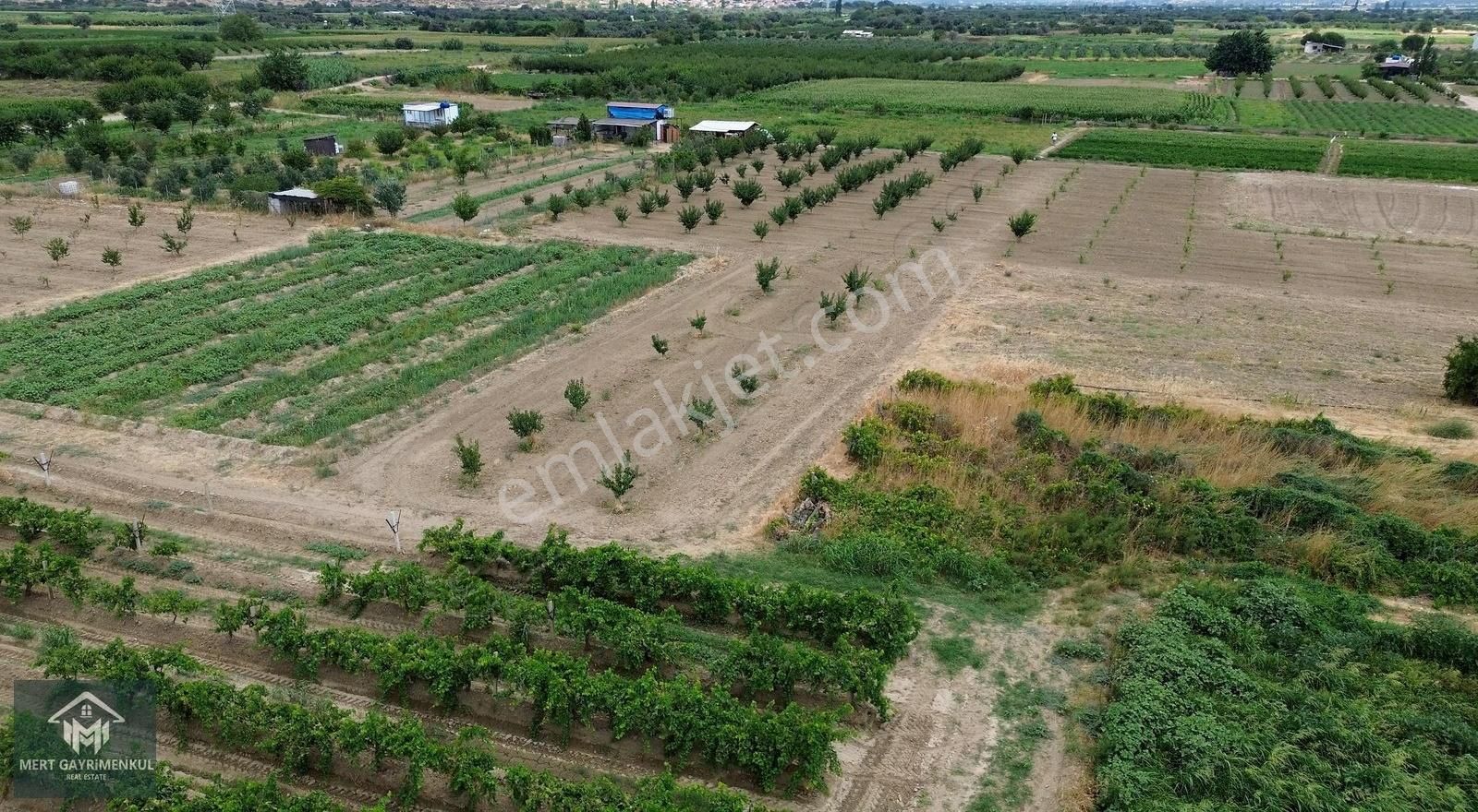 Menemen Doğaköyde Satılık 1778 M2 Tek Tapu Kayısı Bahçesi - Görsel 6