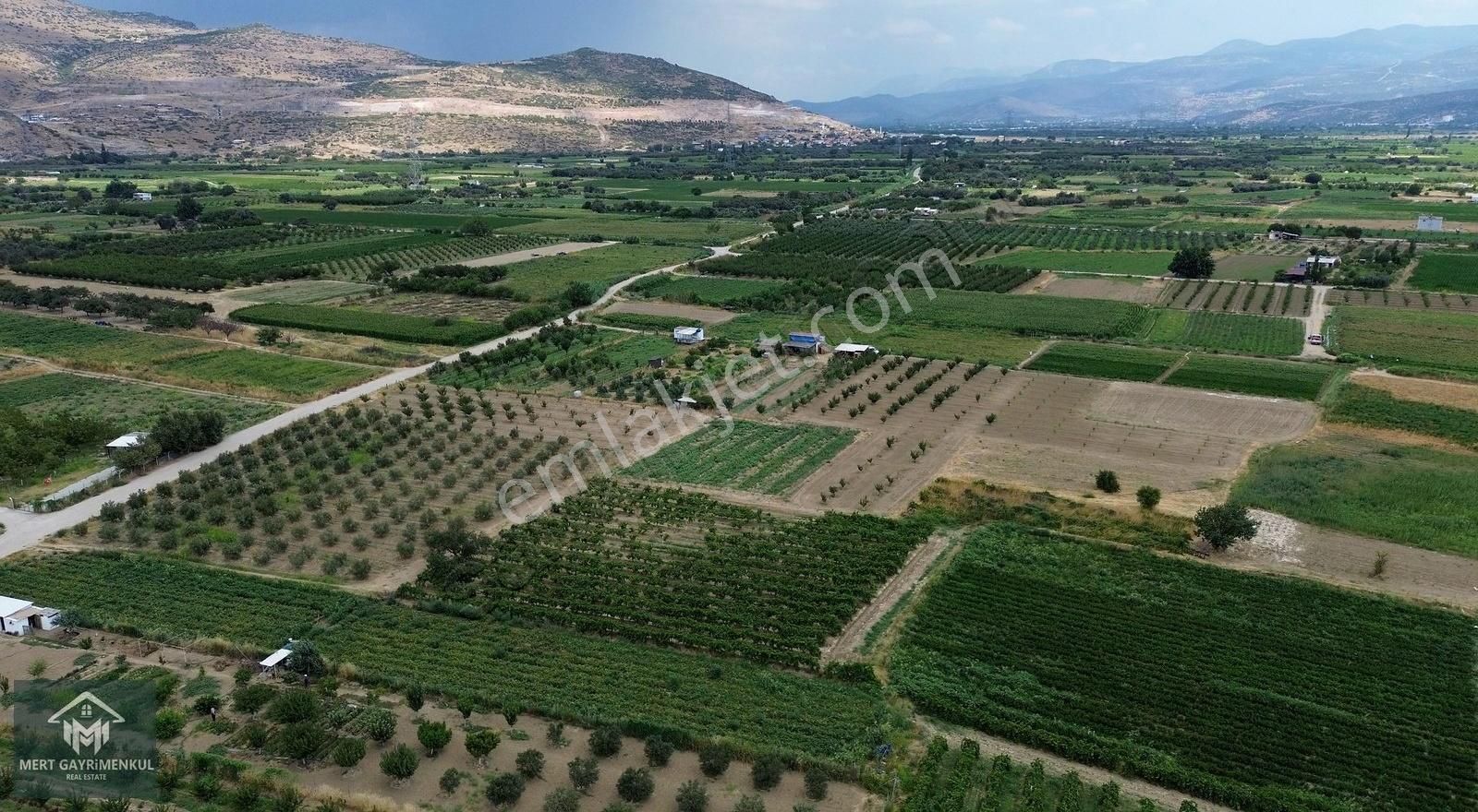 Menemen Doğaköyde Satılık 1778 M2 Tek Tapu Kayısı Bahçesi - Görsel 10
