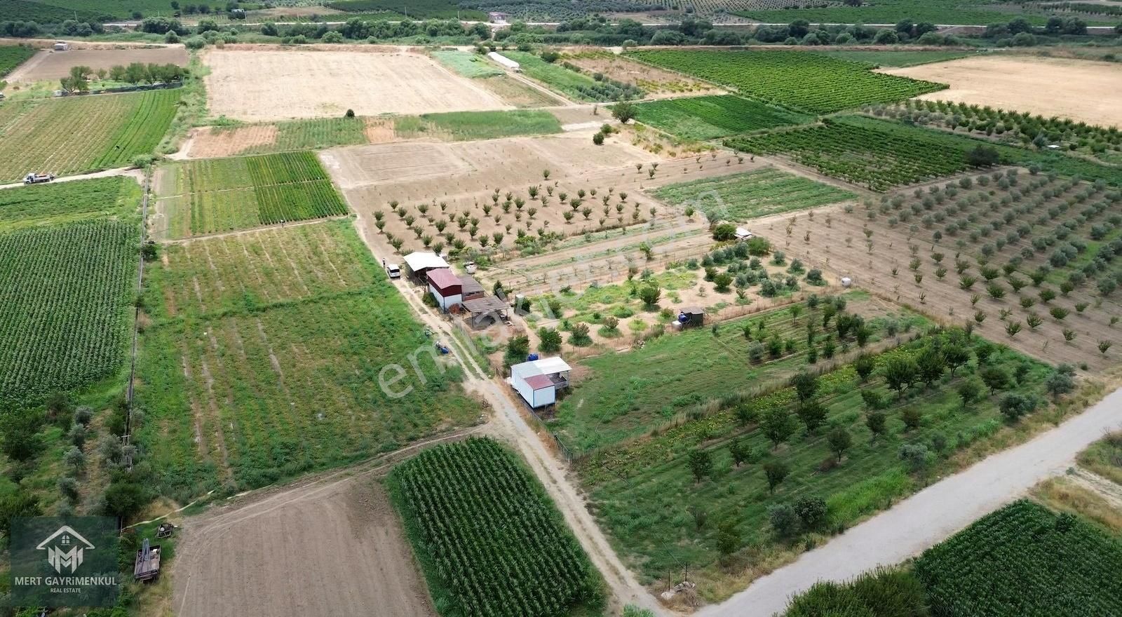 Menemen Doğaköyde Satılık 1778 M2 Tek Tapu Kayısı Bahçesi - Görsel 9