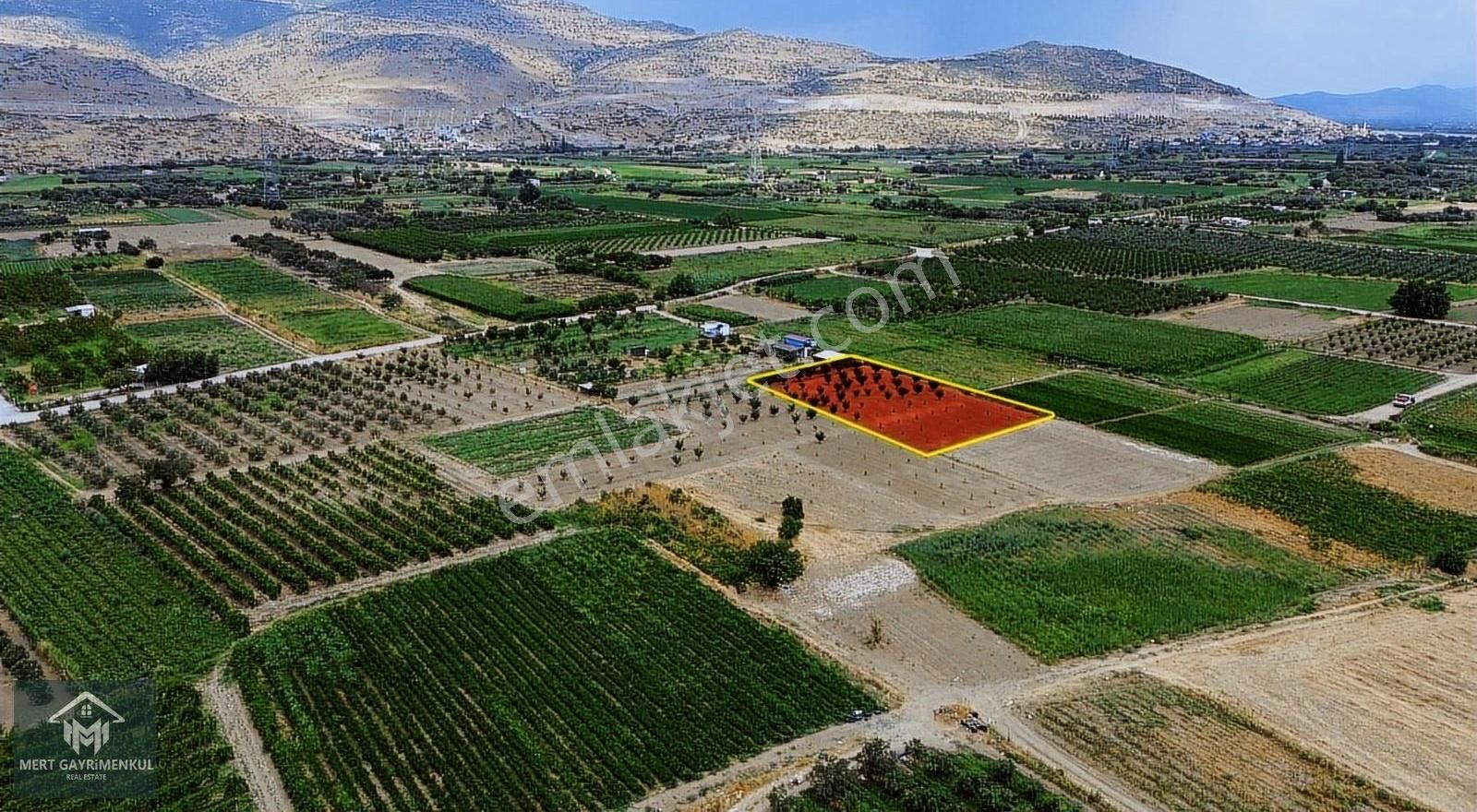 Menemen Doğaköyde Satılık 1778 M2 Tek Tapu Kayısı Bahçesi - Görsel 5