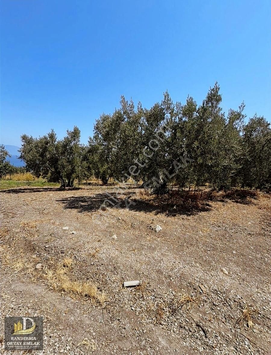 Detay'dan Musakça Mh. 4100m² 2 Parselden Oluşan Yatırım Fırsatı! - Görsel 2