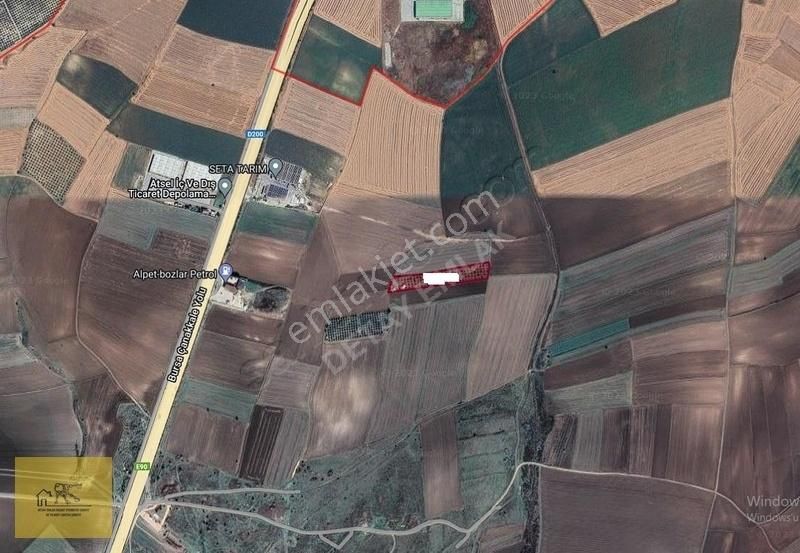 Detay Emlaktan Bezircide 9.200m Satılık Ceviz Bahçesi - Görsel 3