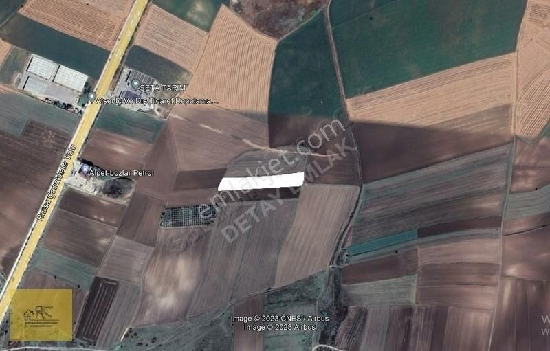 Detay Emlaktan Bezircide 9.200m Satılık Ceviz Bahçesi - Görsel 2