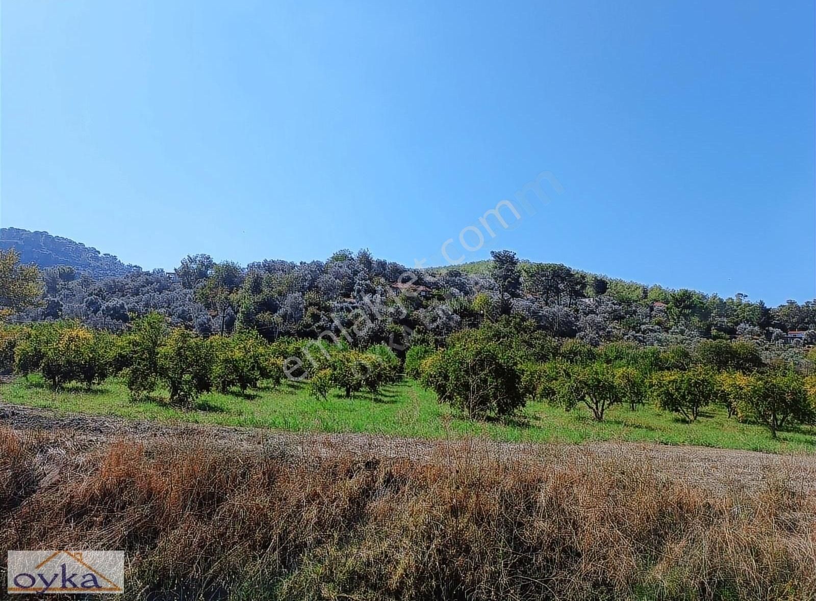 Dalaman Kargınkürü'nde 19.000m2 Satılık Tarla