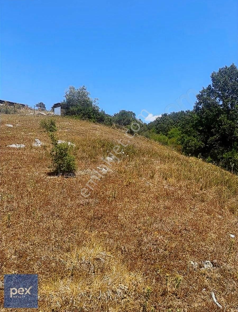 Kocaeli Kandıra Hacışeyh Köyünde Satılık Tarla