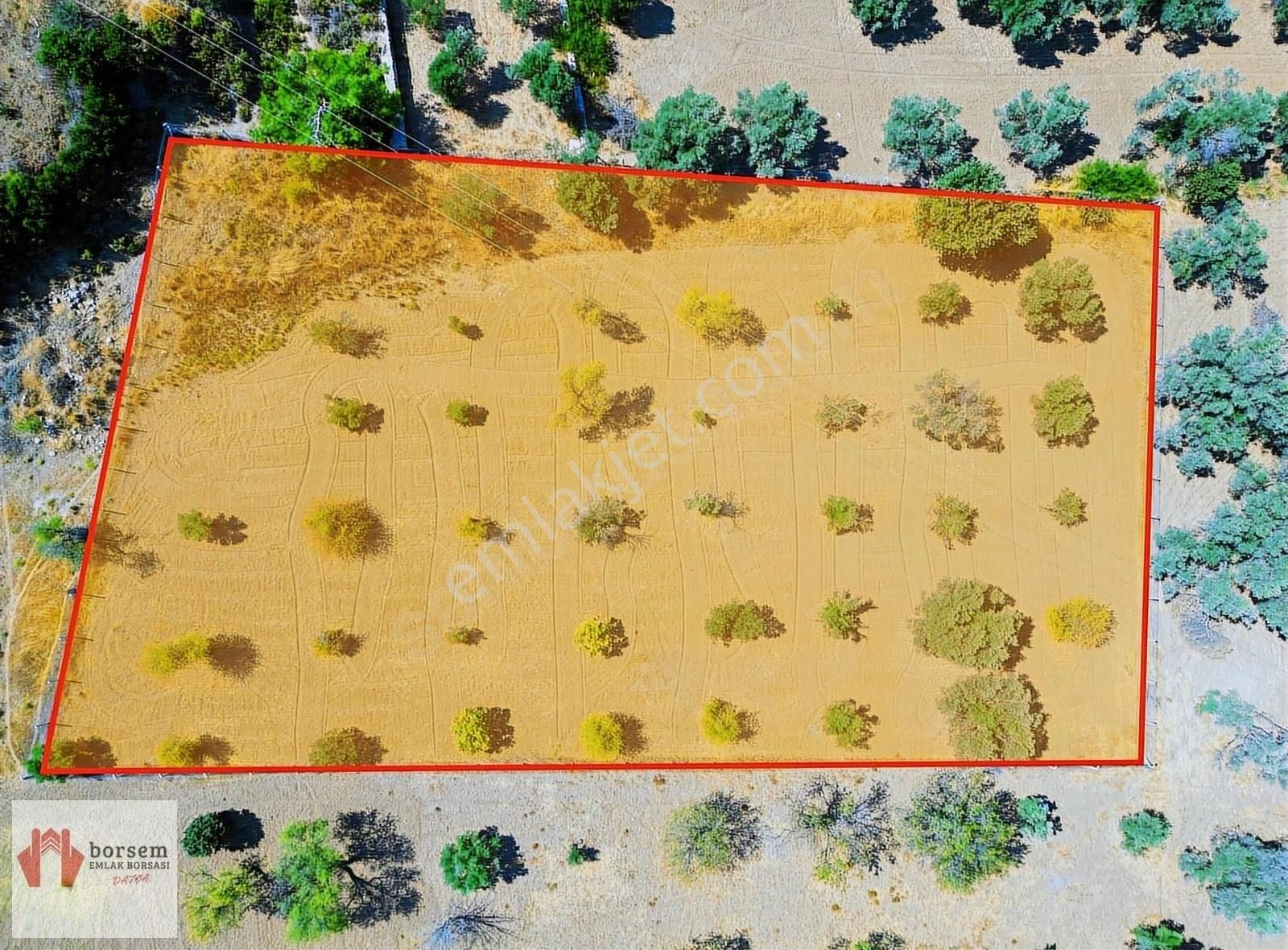Borsem Datça - Kızlan'da 3.354m2 Bademlik Tarla