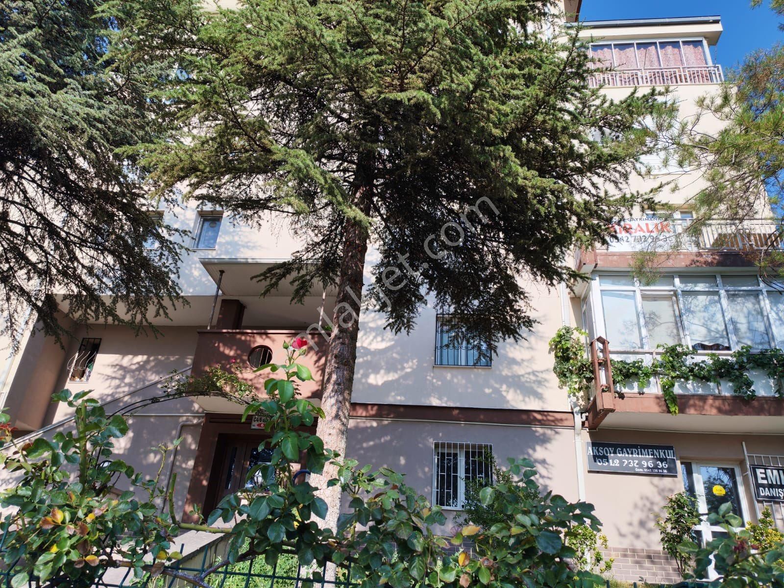 Aksoy Gayrimenkulden Şeyh Şamilde 1+1 Kiralık Daire